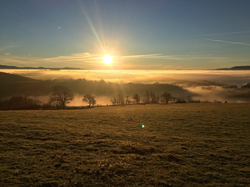 Vale Farm Cottages - Gallery 2